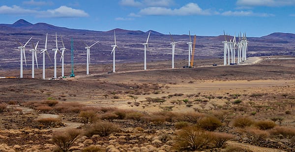 Wind turbine array